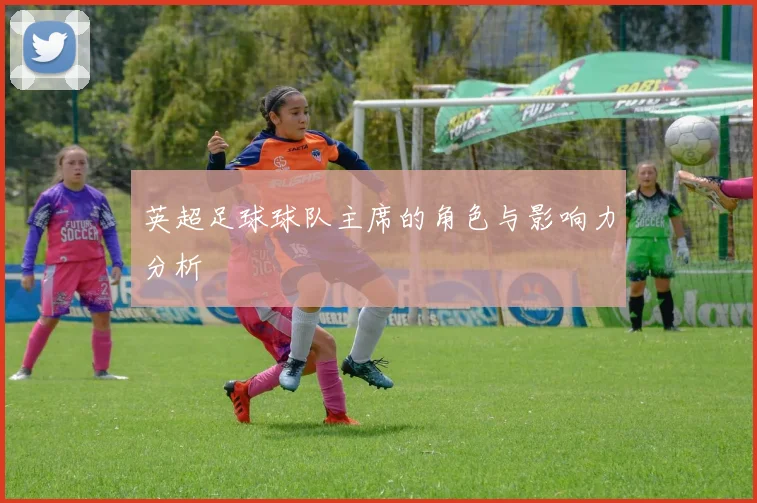 英超足球球队主席的角色与影响力分析