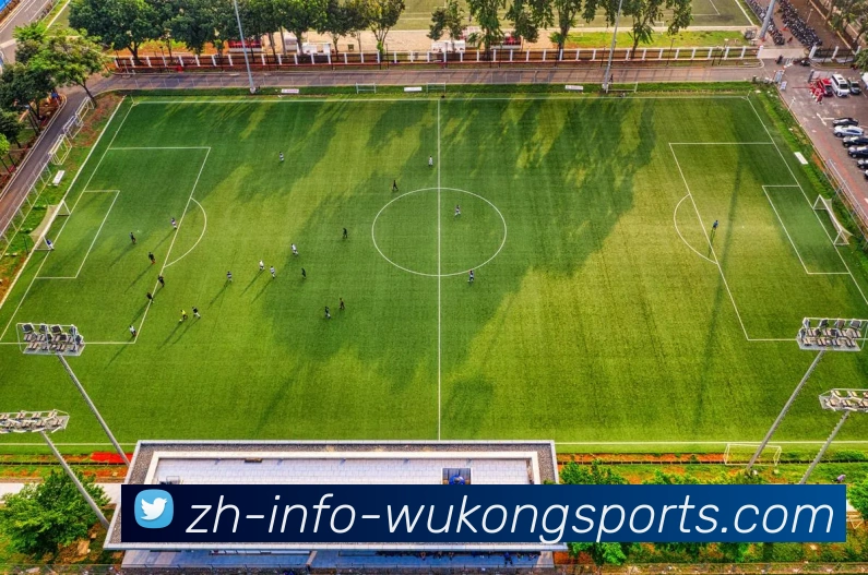 悟空体育平台生态图